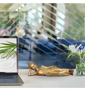 Zenaterra-Décoration