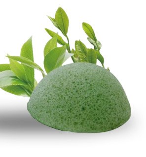 ambiance zen avec l’éponge konjac posée près de produits de soin écoresponsables et d’une plante verte