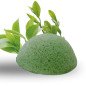 Éponge Konjac au thé vert spéciale yeux