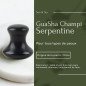 Champi Gua Sha en serpentine