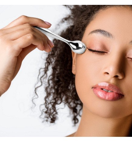 Zenaterra-Nouveautés