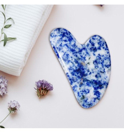 Zenaterra-Nouveautés