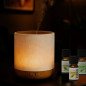 Diffuseur ultrasonique Alesia + 3 huiles essentielles Hiver Diffuseur ultrasonique Alesia + 3 huiles essentielles Hiver