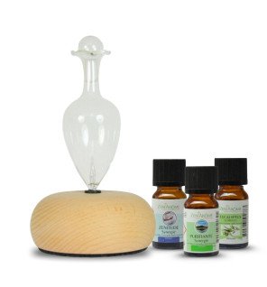 Diffuseur par nébulisation Bao + 3 huiles spéciales télétravail