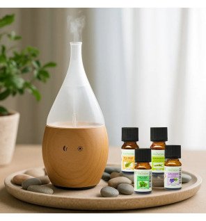 Zenaterra-Nébulisation