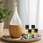 Diffuseur en bois Bolea + 4 huiles essentielles indispensables