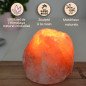Bougeoir sel d'Himalaya rock 1kg