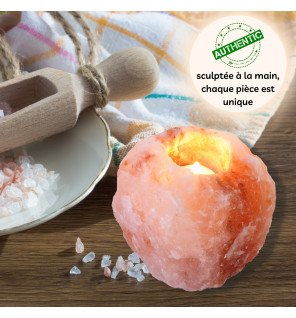  accessoire de décoration en sel d'himalaya posé sur une étagère avec des plantes