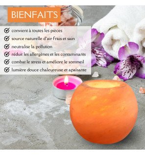  bougeoir en sel d'himalaya sphérique allumé sur une étagère avec des plantes vertes