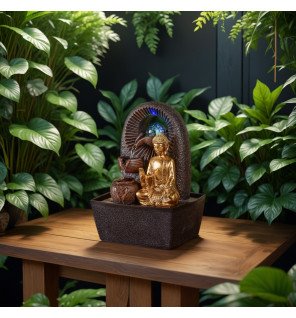  détail du visage du bouddha apaisé avec reflets d'eau scintillante