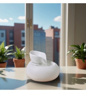 Zenaterra-Fontaines Moderne