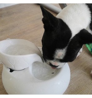  vue latérale montrant le design minimaliste et élégant de la fontaine en céramique