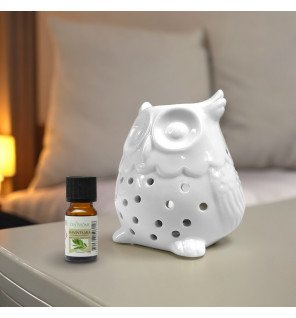  détail du brûle-parfum hibou montrant la texture délicate de la céramique