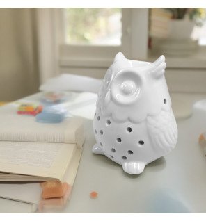  gros plan sur les motifs ajourés du diffuseur hibou pour laisser passer la lumière