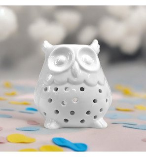  diffuseur hibou sur une étagère entouré de plantes vertes pour une déco naturelle