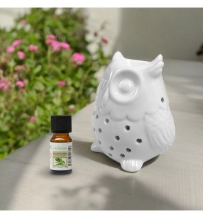  mise en scène du diffuseur hibou avec des bâtonnets parfumés et des fleurs séchées