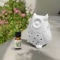 Hibou - Brûle-Parfum Céramy Hibou - Brûle-Parfum Céramy