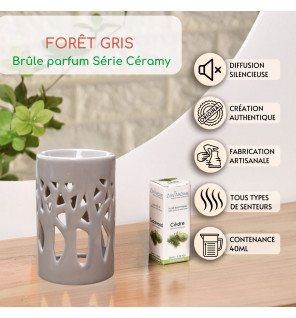  brûle-parfum forêt gris décoratif sur une étagère avec des plantes vertes