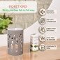 Forêt gris - Brûle-Parfum Céramy