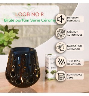  brûle-parfum noir placé sur une étagère avec des plantes vertes et des livres