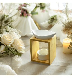  association du brûle-parfum avec des plantes vertes pour une ambiance zen