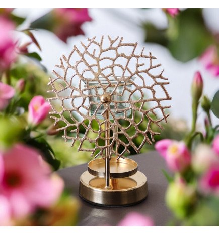 Zenaterra-Inspiration