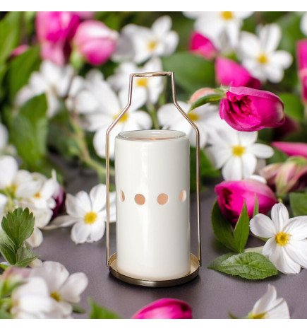 Zenaterra-Inspiration