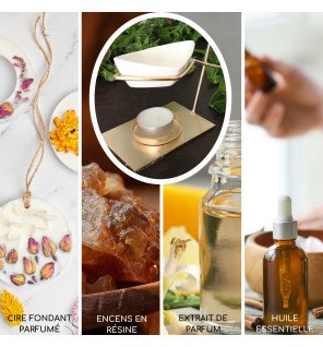  brûle-parfum matelot placé près de plantes vertes pour une décoration naturelle