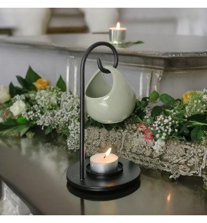  mise en scène du diffuseur inspiration seis entouré de plantes vertes et de livres pour une ambiance naturelle