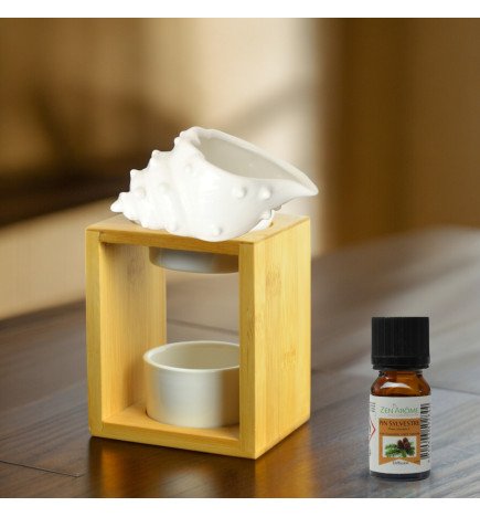 Shell - Brûle-Parfum Naturéa