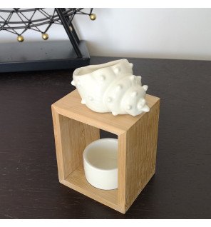  accessoire de diffusion d’arômes posé près de plantes vertes pour une atmosphère naturelle