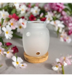 Zenaterra-Inspiration