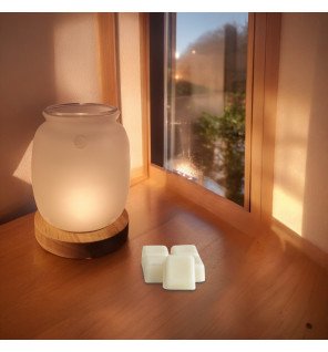  détail du diffuseur de parfum avec coupelle en verre et support en bois élégant