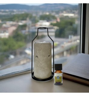  accessoire de bien-être posé près de coussins et plantes vertes