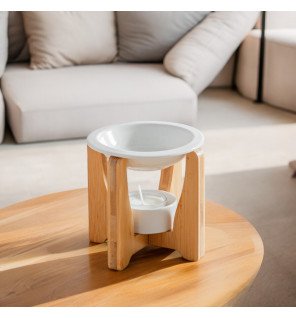  mise en scène du brûle-parfum avec des accessoires de méditation et des plantes vertes