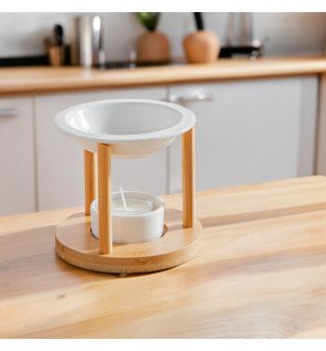  mise en scène du brûle-parfum simplicity dans un salon moderne avec des plantes vertes