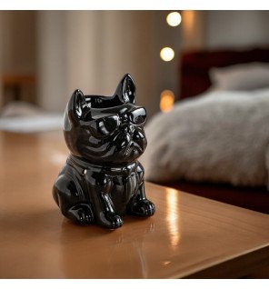  diffuseur décoratif boubou placé près de plantes vertes pour une ambiance naturelle