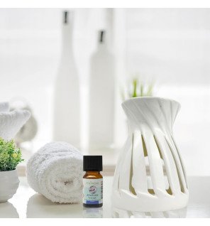  détail du dessus du brûle-parfum montrant l’emplacement pour les huiles essentielles