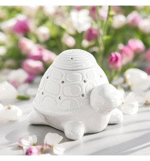 Zenaterra-Brûle-parfum