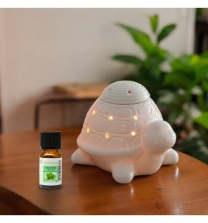 Franklin - Brûle-Parfum Céramy