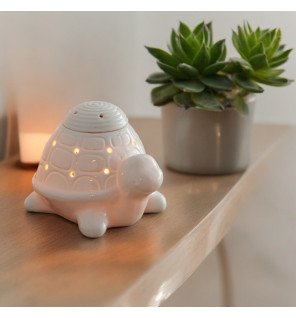  main versant de l’eau dans le brûle-parfum franklin avant la diffusion