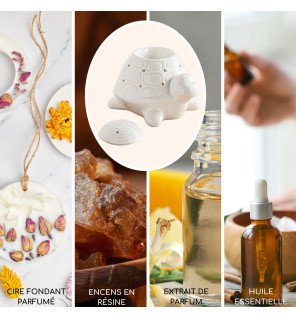  ambiance zen avec le brûle-parfum franklin posé près de plantes vertes