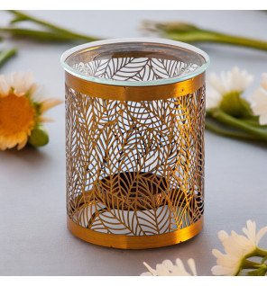 Zenaterra-Nouveautés