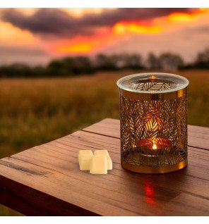  brûle-parfum leaves utilisé lors d’une séance de méditation pour créer une ambiance apaisante