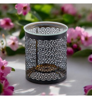 Zenaterra-Nouveautés