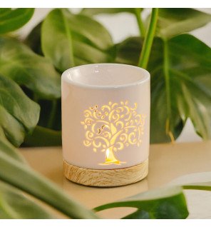 Zenaterra-Brûle-parfum