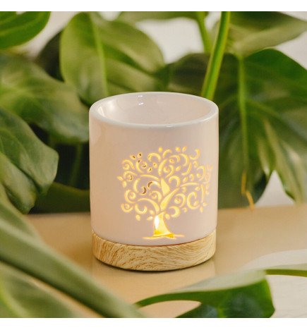 Zenaterra-Brûle-parfum