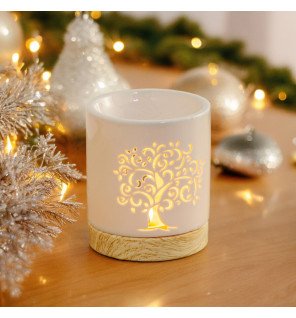  vue de dessus montrant le réservoir à parfum rempli d’eau et d’huiles essentielles