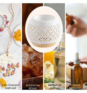  mise en scène du brûle-parfum céramy sur une étagère décorative avec plantes vertes