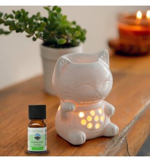 Tommy - Brûle-Parfum Céramy